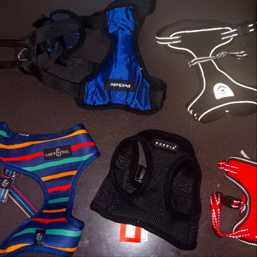 Harnesses - Picture 2 of 16